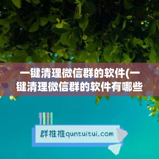 一键清理微信群的软件(一键清理微信群的软件有哪些)