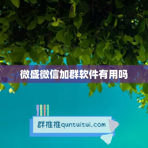 微盛微信加群软件有用吗