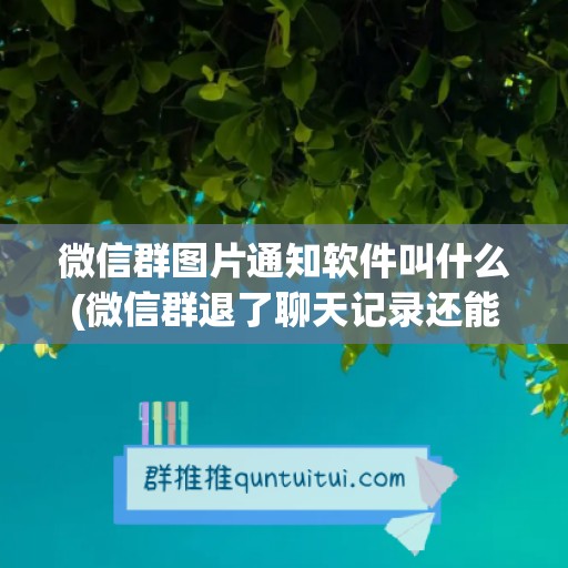 微信群图片通知软件叫什么(微信群退了聊天记录还能找到吗)