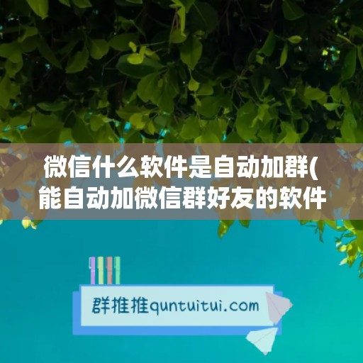 微信什么软件是自动加群(能自动加微信群好友的软件)