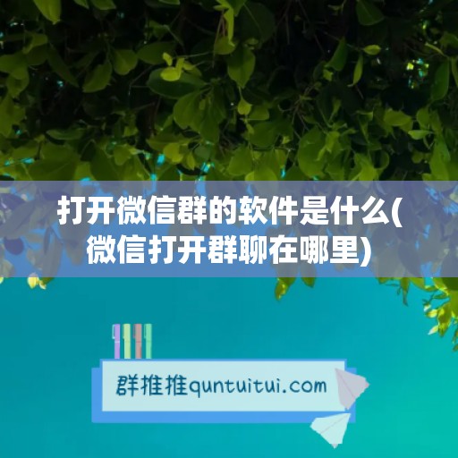 打开微信群的软件是什么(微信打开群聊在哪里)