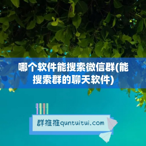 哪个软件能搜索微信群(能搜索群的聊天软件)