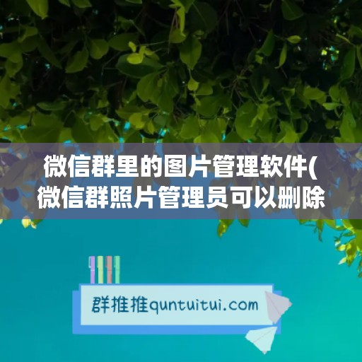 微信群里的图片管理软件(微信群照片管理员可以删除)