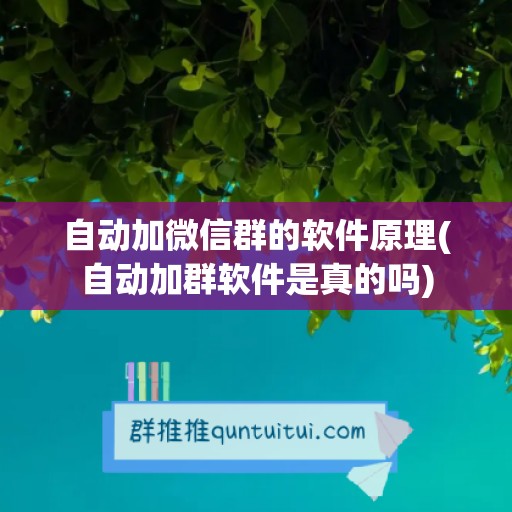 自动加微信群的软件原理(自动加群软件是真的吗)