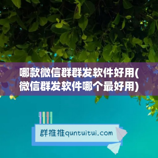 哪款微信群群发软件好用(微信群发软件哪个最好用)