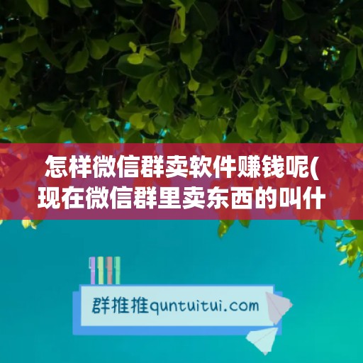 怎样微信群卖软件赚钱呢(现在微信群里卖东西的叫什么软件)