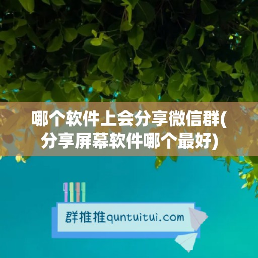 哪个软件上会分享微信群(分享屏幕软件哪个最好)