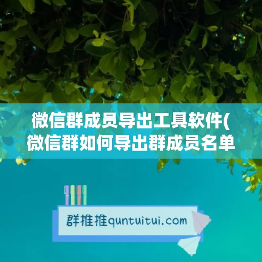 微信群成员导出工具软件(微信群如何导出群成员名单)