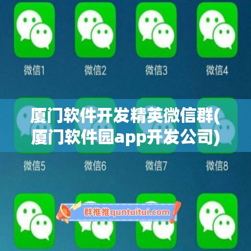 厦门软件开发精英微信群(厦门软件园app开发公司)