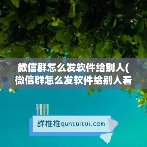 微信群怎么发软件给别人(微信群怎么发软件给别人看)