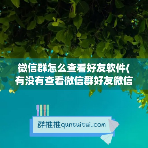 微信群怎么查看好友软件(有没有查看微信群好友微信号软件)