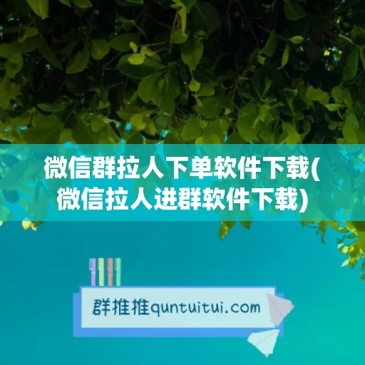 微信群拉人下单软件下载(微信拉人进群软件下载)