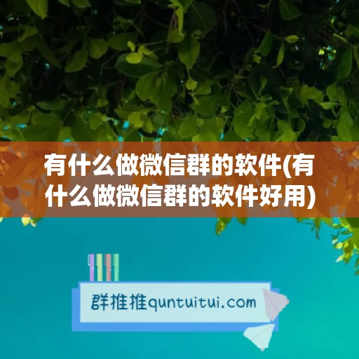 有什么做微信群的软件(有什么做微信群的软件好用)