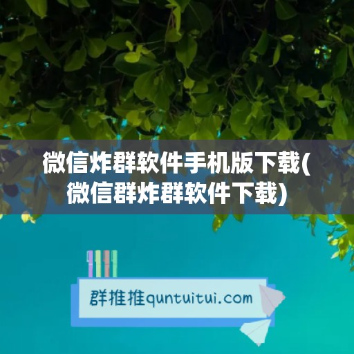 微信炸群软件手机版下载(微信群炸群软件下载)