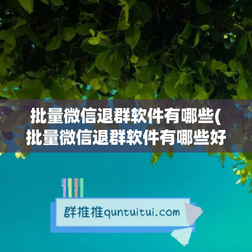 批量微信退群软件有哪些(批量微信退群软件有哪些好处)