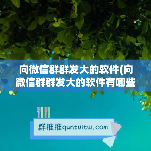 向微信群群发大的软件(向微信群群发大的软件有哪些)