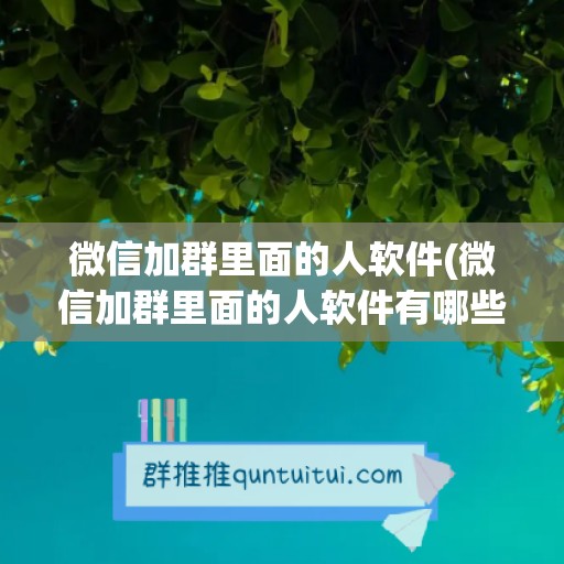 微信加群里面的人软件(微信加群里面的人软件有哪些)