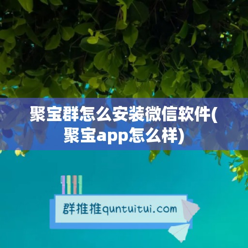 聚宝群怎么安装微信软件(聚宝app怎么样)