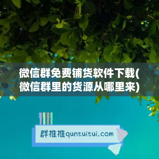 微信群免费铺货软件下载(微信群里的货源从哪里来)