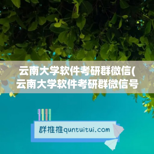 云南大学软件考研群微信(云南大学软件考研群微信号)