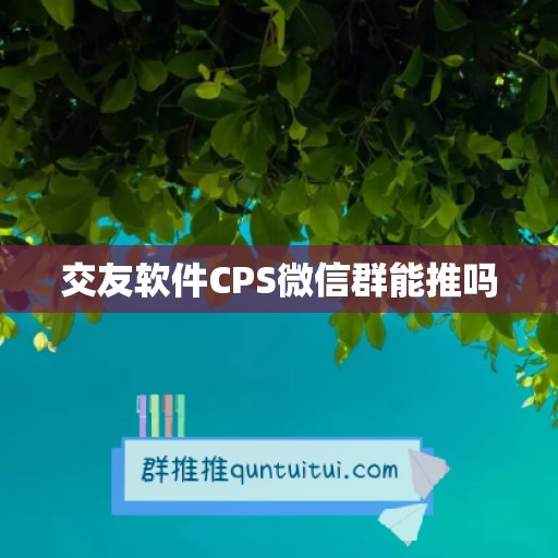 交友软件CPS微信群能推吗