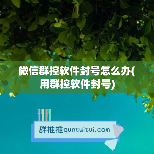 微信群控软件封号怎么办(用群控软件封号)