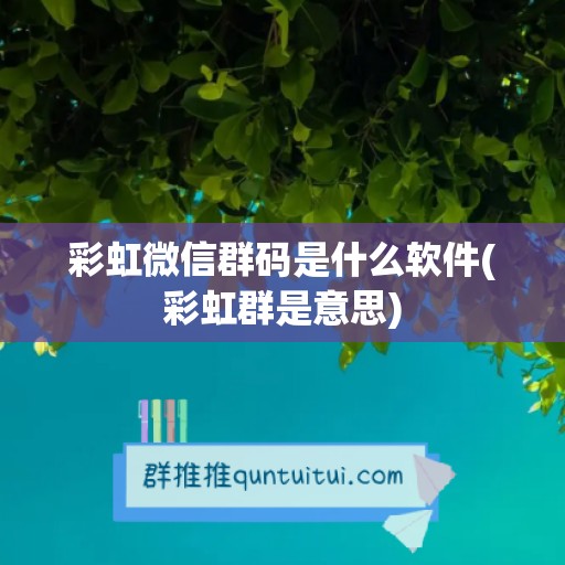 彩虹微信群码是什么软件(彩虹群是意思)