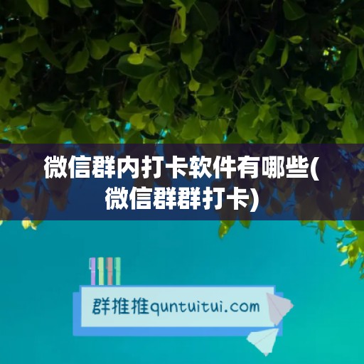 微信群内打卡软件有哪些(微信群群打卡)