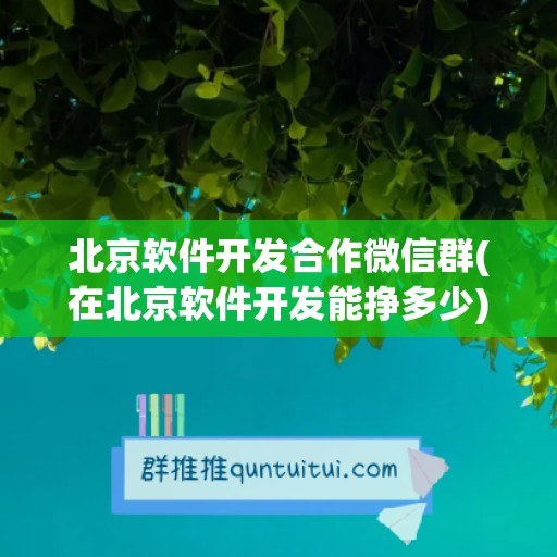 北京软件开发合作微信群(在北京软件开发能挣多少)