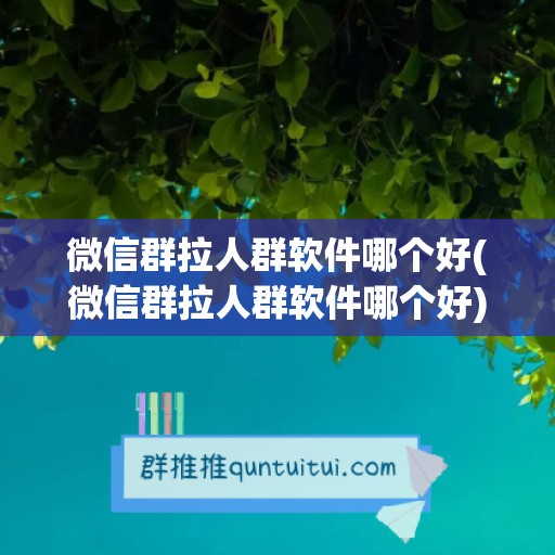 微信群拉人群软件哪个好(微信群拉人群软件哪个好)