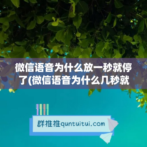 微信语音为什么放一秒就停了(微信语音为什么几秒就断了)