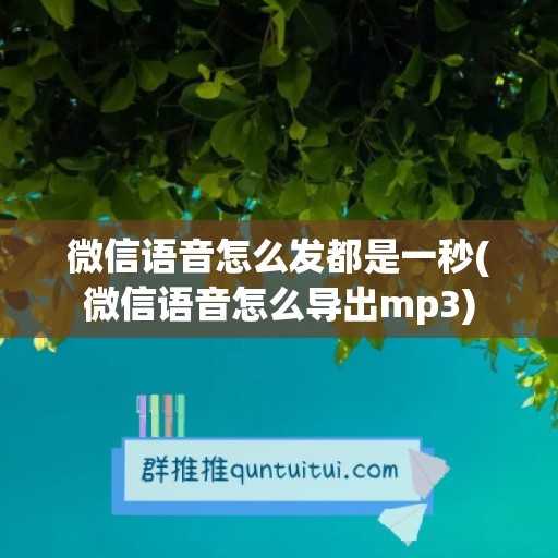 微信语音怎么发都是一秒(微信语音怎么导出mp3)