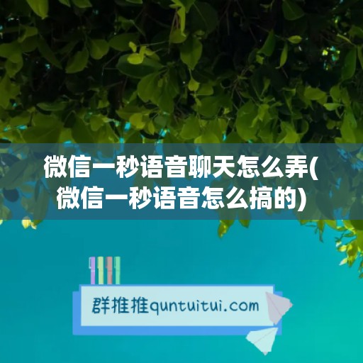 微信一秒语音聊天怎么弄(微信一秒语音怎么搞的)