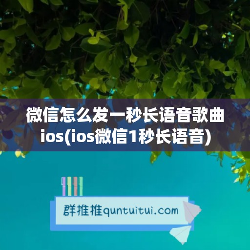 微信怎么发一秒长语音歌曲ios(ios微信1秒长语音)