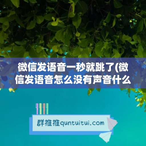 微信发语音一秒就跳了(微信发语音怎么没有声音什么原因)