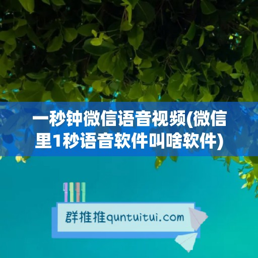 一秒钟微信语音视频(微信里1秒语音软件叫啥软件)