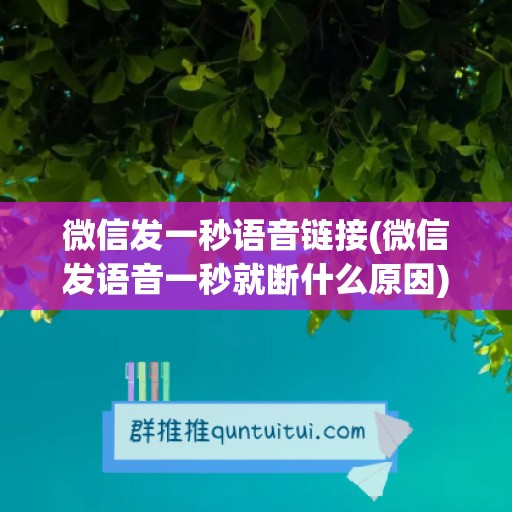 微信发一秒语音链接(微信发语音一秒就断什么原因)