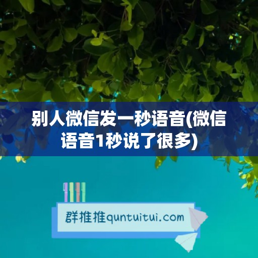 别人微信发一秒语音(微信语音1秒说了很多)