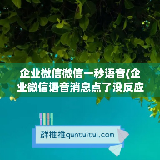 企业微信微信一秒语音(企业微信语音消息点了没反应)