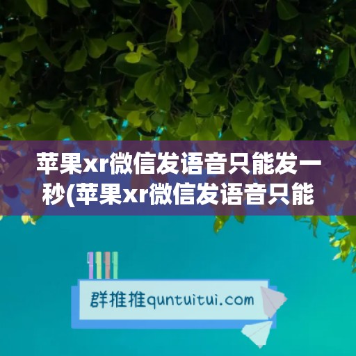 苹果xr微信发语音只能发一秒(苹果xr微信发语音只能发一秒吗)