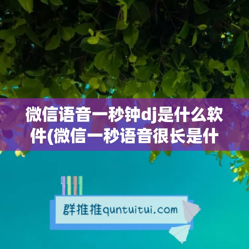 微信语音一秒钟dj是什么软件(微信一秒语音很长是什么软件)