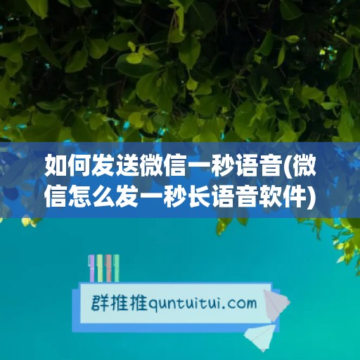 如何发送微信一秒语音(微信怎么发一秒长语音软件)