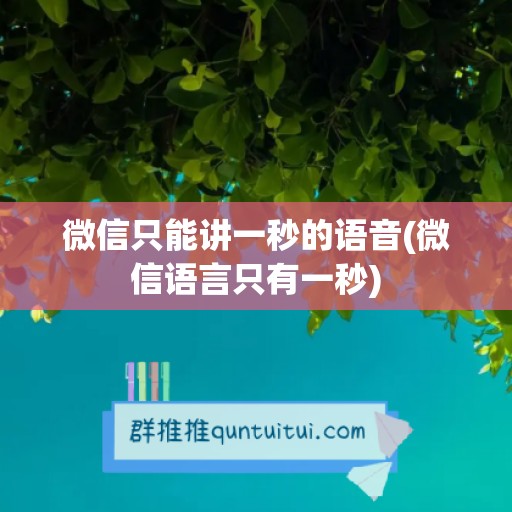 微信只能讲一秒的语音(微信语言只有一秒)