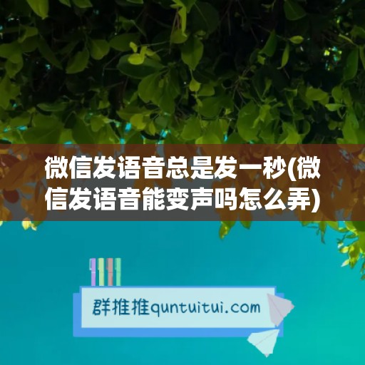 微信发语音总是发一秒(微信发语音能变声吗怎么弄)