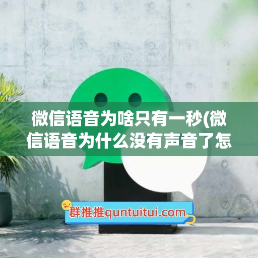 微信语音为啥只有一秒(微信语音为什么没有声音了怎么办)