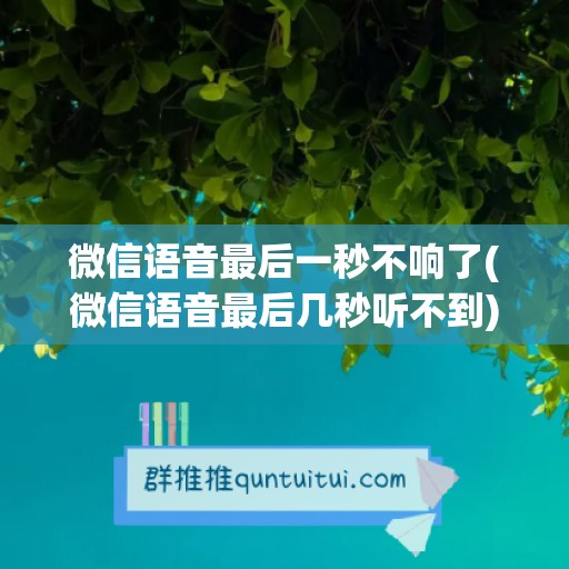 微信语音最后一秒不响了(微信语音最后几秒听不到)