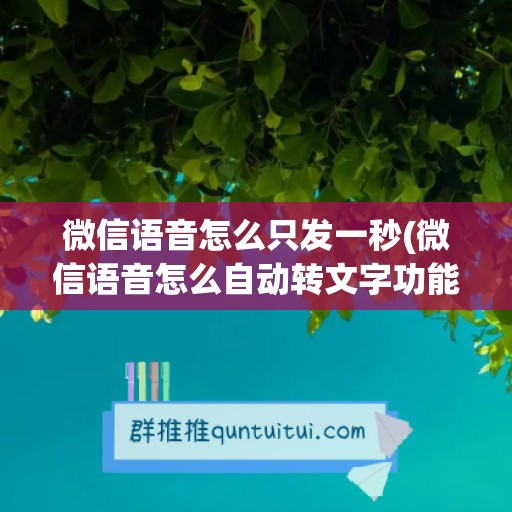 微信语音怎么只发一秒(微信语音怎么自动转文字功能)