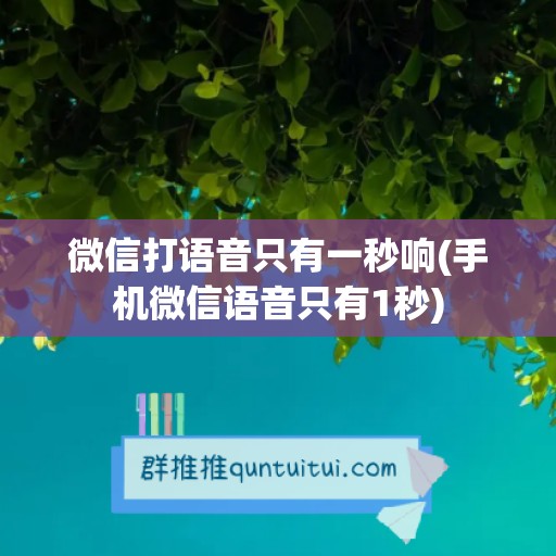 微信打语音只有一秒响(手机微信语音只有1秒)