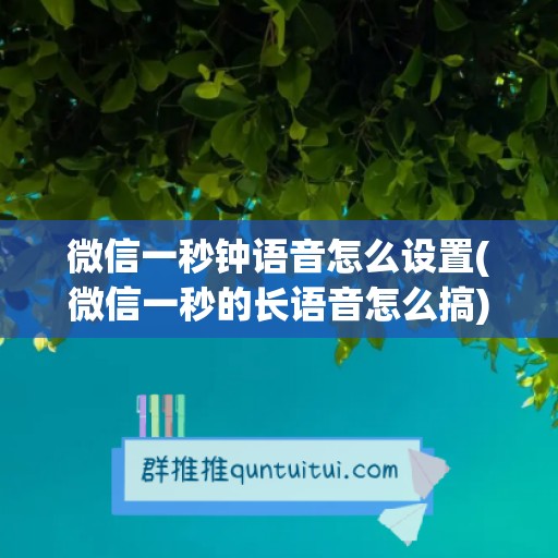 微信一秒钟语音怎么设置(微信一秒的长语音怎么搞)