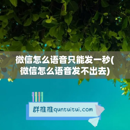 微信怎么语音只能发一秒(微信怎么语音发不出去)